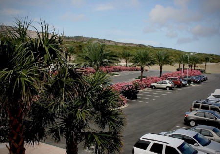 Hyatt Oleanders