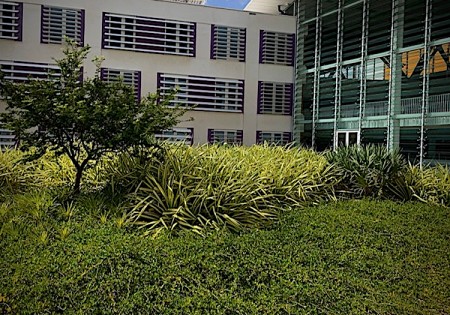 Curaçao Medical Center