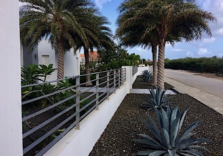 Sylvestris palm binnen en buiten. Coral Estate.